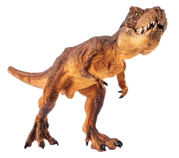 istock Tyrannosaurus T-rex ,dinosaur on white background Clipping path 1393898005