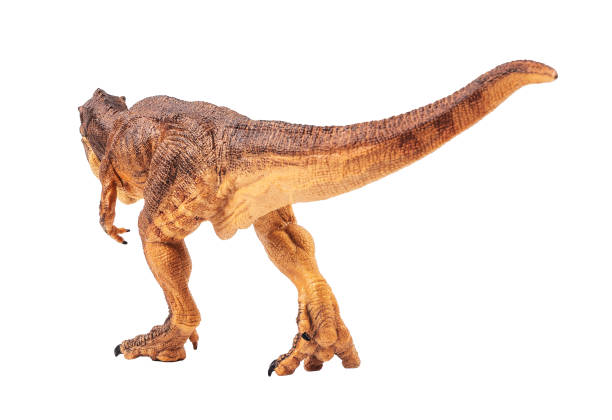 istock Tyrannosaurus T-rex ,dinosaur on white background Clipping path 1393898010