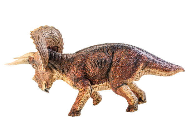 istock Triceratops  , dinosaur on white  background . Clipping path 1393898936