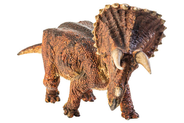 istock Triceratops  , dinosaur on white  background . Clipping path 1393898938