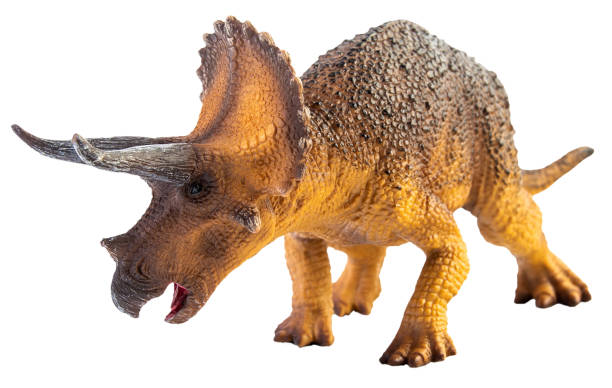 istock Triceratops  , dinosaur on white  background . Clipping path 1393898947