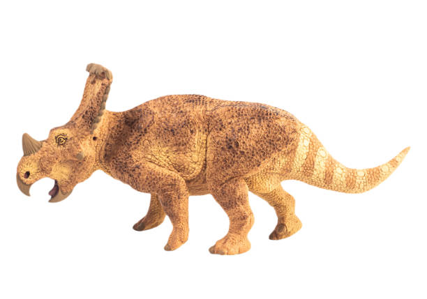 istock Triceratops  , dinosaur on white  background . Clipping path 1393898966