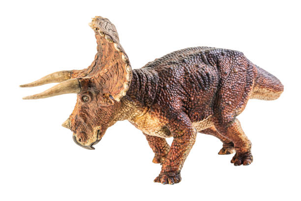 istock Triceratops  , dinosaur on white  background . Clipping path 1393898997