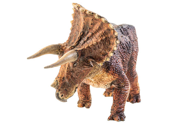 istock Triceratops  , dinosaur on white  background . Clipping path 1393899000