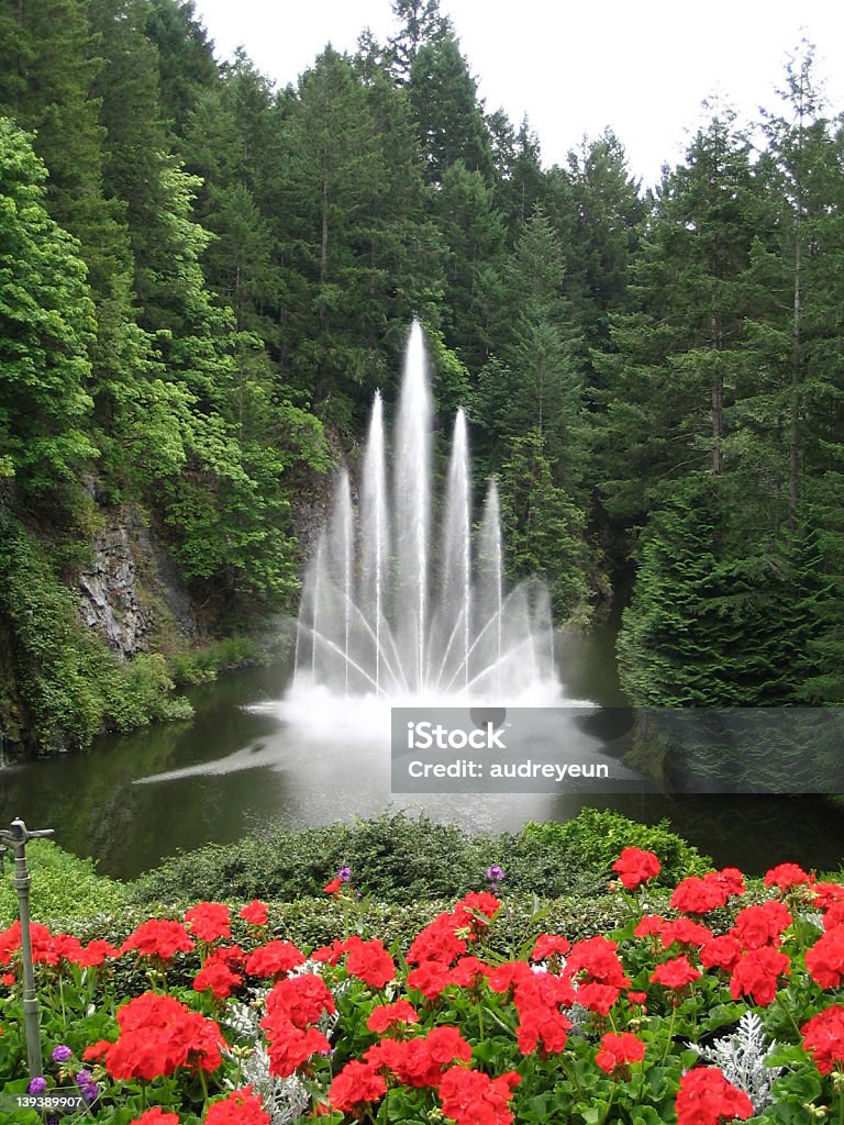 Fontaine et fleurs rouges dans le premier plan - Photo de Activité physique libre de droits