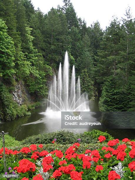 Photo libre de droit de Fontaine Et Fleurs Rouges Dans Le Premier Plan banque d'images et plus d'images libres de droit de Activité physique - Activité physique, Angle de prise de vue, Arbre