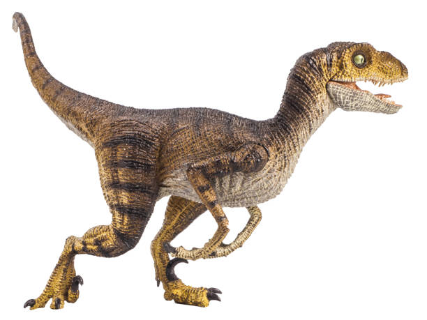 istock dinosaur , Velociraptor on white background . Clipping path 1393901374