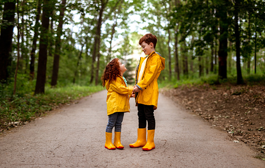 Full body of smiling little girl and older brother with red hair dressed in bright yellow raincoats and gumboots holding hands and looking at each other, while standing in walkway in green forest