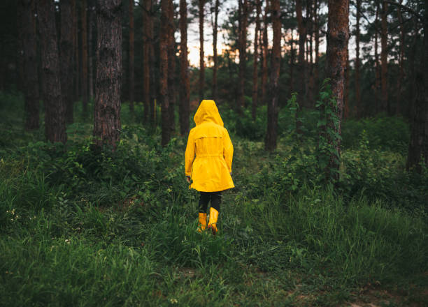 istock Kid in yellow raincoat walking in forest 1393901667