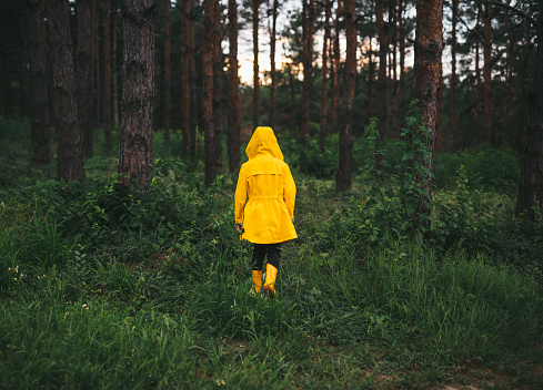 Back view of unrecognizable child in yellow raincoat and rubber boots walking alone in green forest in summer evening