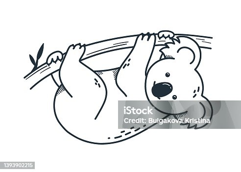 5,400+ Koala Bear Drawing Stock Photos, Pictures & Royalty-Free ...