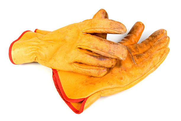 Leather hands stock photo