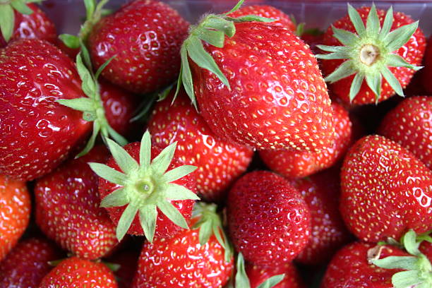 Strawberries stock photo