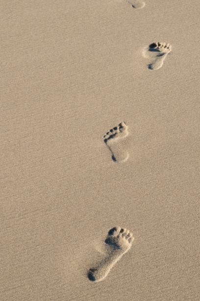 huellas en la arena de una playa - sand footprint track following fotografías e imágenes de stock
