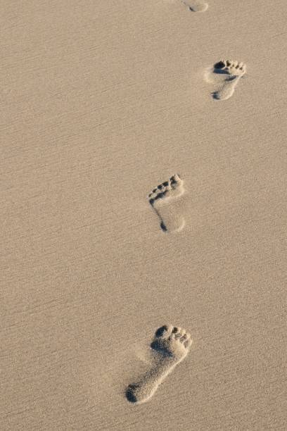 해변의 모래 발자국 - sand footprint track following 뉴스 사진 이미지