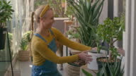 istock Mature caucasian female florist organising plants at a nursery 1393906994