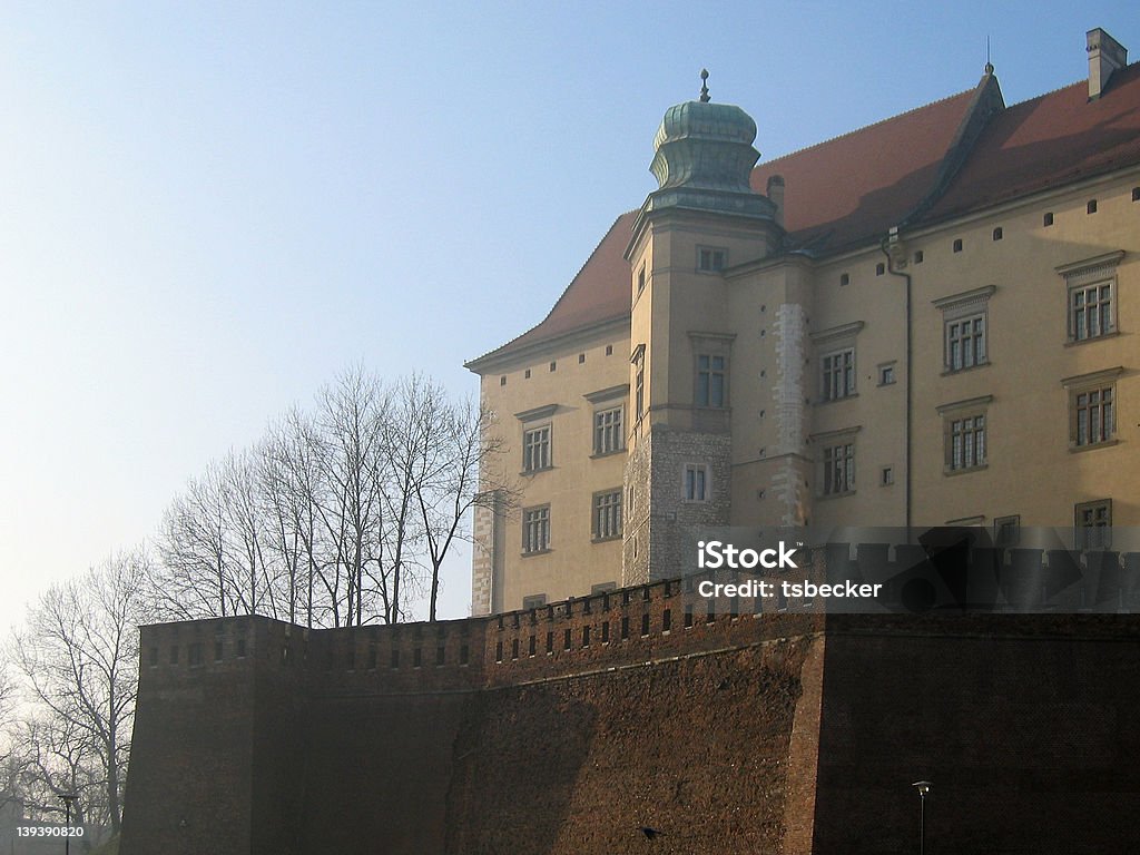 Dom von Krakau - Lizenzfrei Festung Stock-Foto