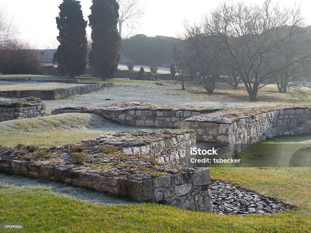 Ruines du Wawel - Photo de Caillou libre de droits