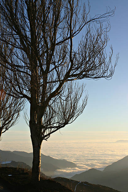 El Colorado - foto stock