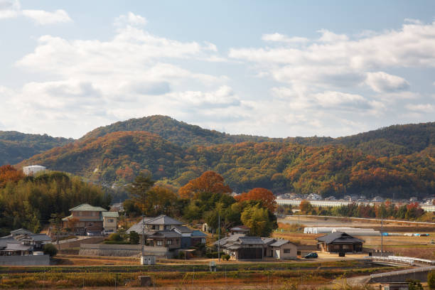 View on japanese countryside with forested hills on background stock photo