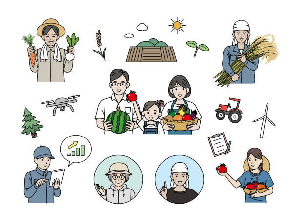 ilustraciones, imágenes clip art, dibujos animados e iconos de stock de imágenes prediseñadas de agricultores cosechando alimentos - plowed field field fruit vegetable