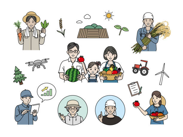 illustrations, cliparts, dessins animés et icônes de clip art des agriculteurs récoltant des aliments - plowed field field fruit vegetable