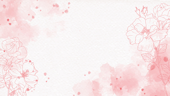 pink watercolor splash background with line art rose