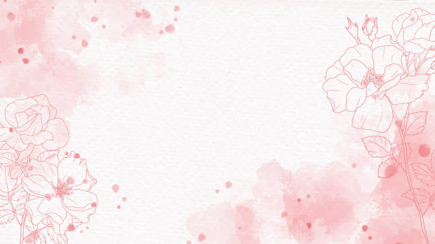 pink watercolor splash background with line art rose - 花 幅插畫檔、美工圖案、卡通及圖標