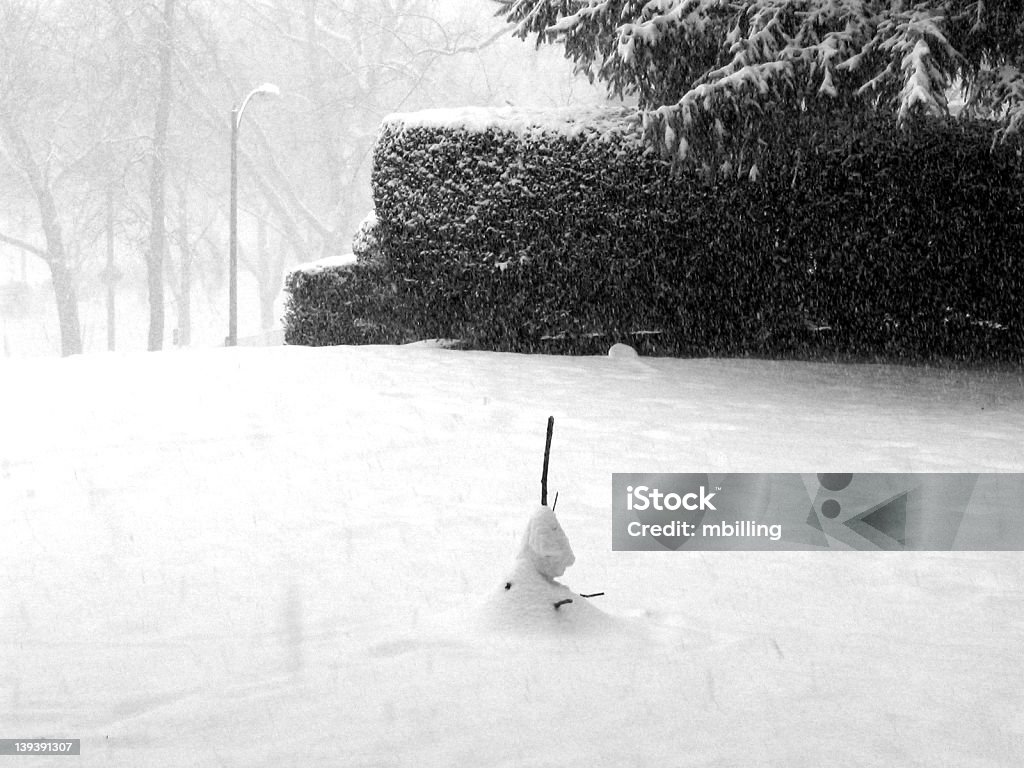 Triste Pupazzo di neve - Foto stock royalty-free di Adulto