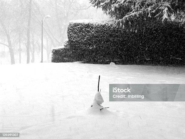 Triste Pupazzo Di Neve - Fotografie stock e altre immagini di Adulto - Adulto, Albero, Ambientazione esterna