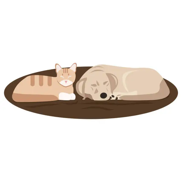 Vector illustration of Cat and dog sleeping. Cute vector illustration.