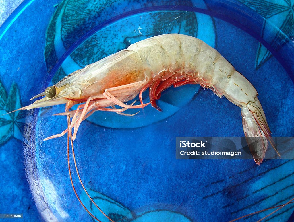 Des crevettes - Photo de Crevette - Produit de la mer libre de droits