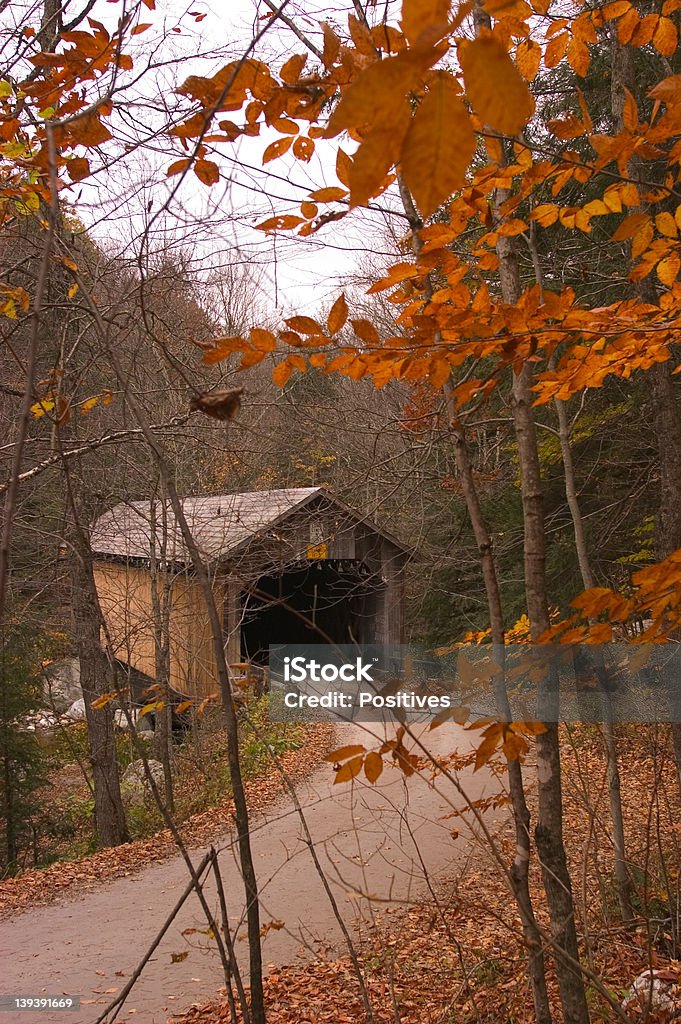 Pont couvert - Photo de Automne libre de droits