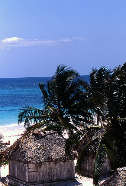 istock Beach in Mexico - Straw House 139392049