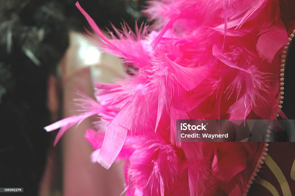 Feather Boa 1 Close-up of a pink feather boa in a store window Burlesque Style Stock Photo