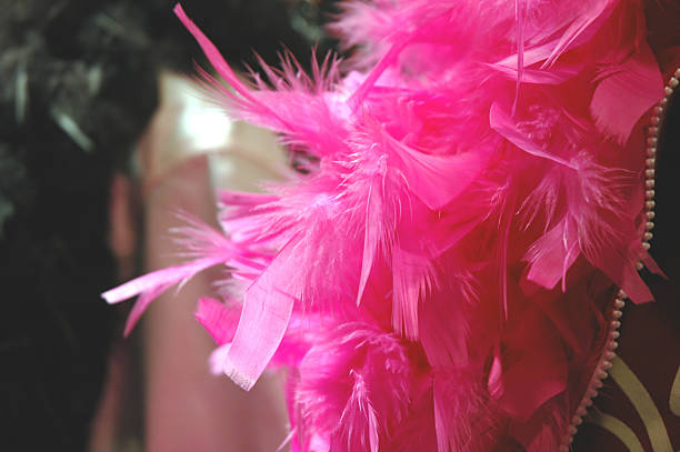 Feather Boa 1 Close-up of a pink feather boa in a store window burlesque stock pictures, royalty-free photos & images