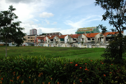 Old faded buildings in beautifull surroundings with lots of grass and flowers, in little India, singapore