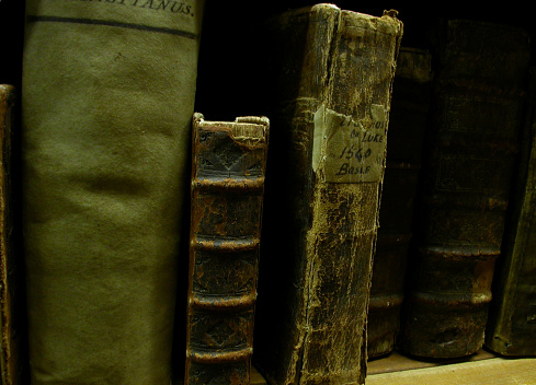 Ancient books, actually; I was hesitant to even touch them, much less open them and thumb through the pages. The bookstore owner assured me it was okay. When I did I felt overwhelmed with their antiquity. All were written in Latin, so I had no idea what I was reading, but just knowing how old they were spoke volumes.
