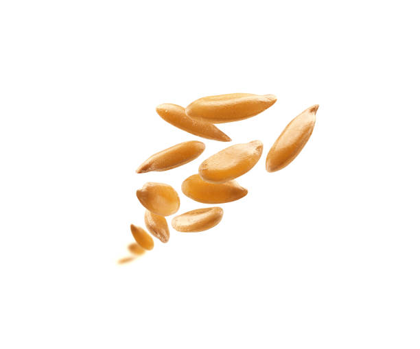 istock Flax seeds are levitated on a white background 1393927448