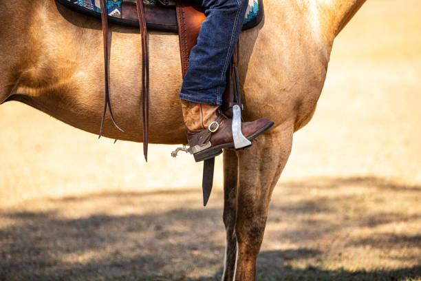 istock Western horse rider 1393927570