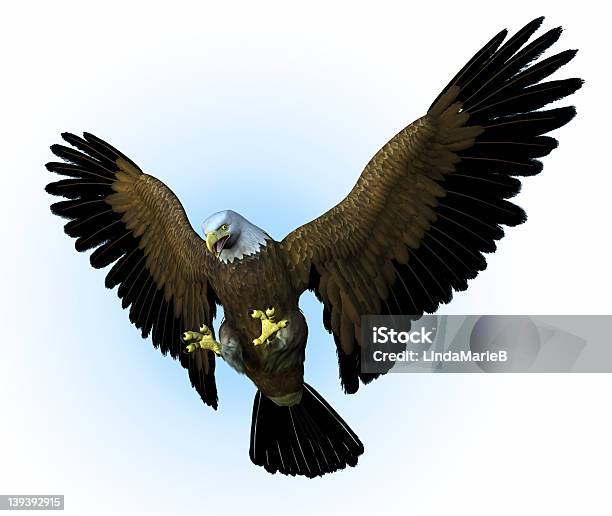 Eagle Swooping Down Includes Clipping Path Stock Photo - Download Image Now - Diving to the Ground, Eagle - Bird, Aggression