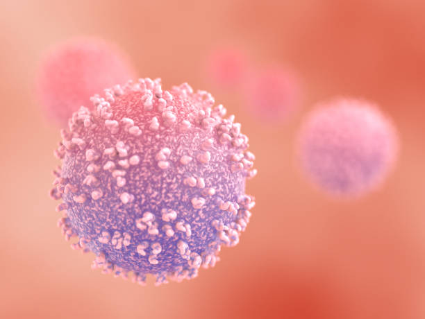 Lymphocytes in the Human Immune System stock photo