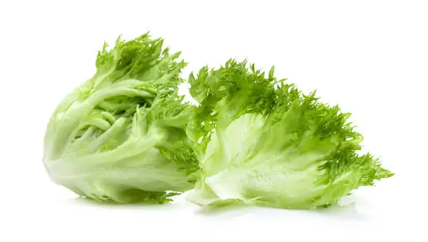 Photo of Frillies iceberg lettuce on white