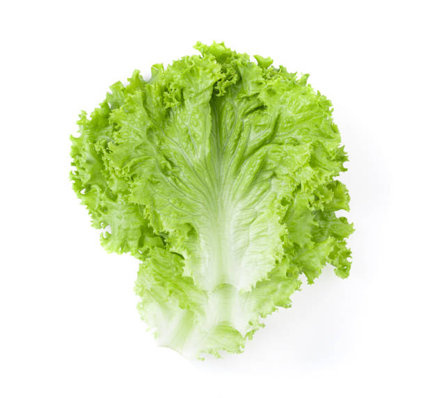 istock Lettuce leaves isolated on white background 1393931406