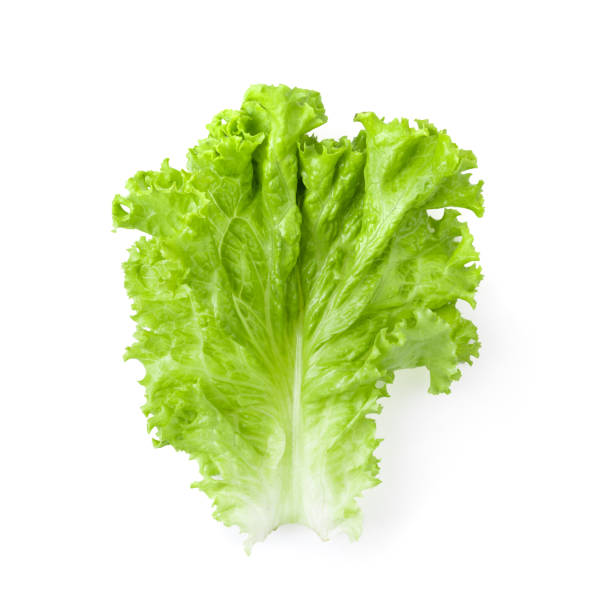istock Lettuce leaves isolated on white background 1393931456