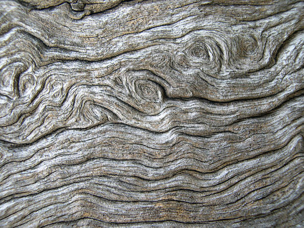 istock Close up view of weathered timber. 139393240