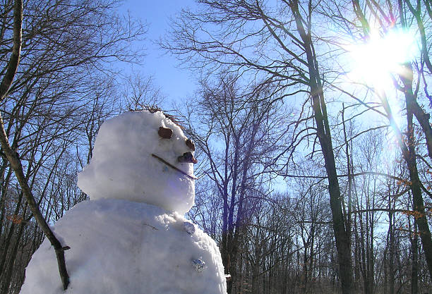 de muñeco de nieve - melting snowman winter spring fotografías e imágenes de stock