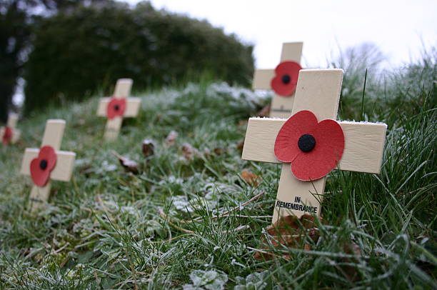 istock Remembrance Poppies on Frosty Grass Bank 139393270