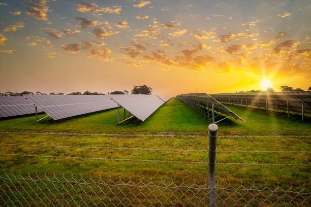 Solar Farm stock photo