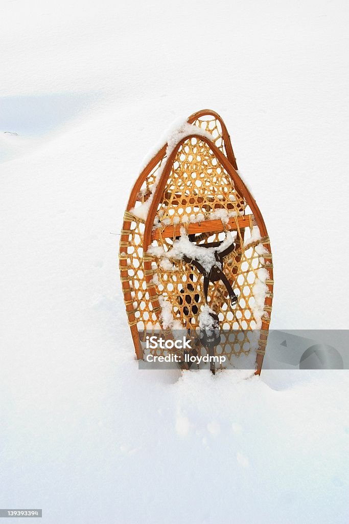 Snowshoes - Royalty-free Alasca Foto de stock